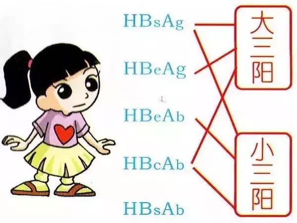 大三阳与小三阳哪个厉害,大三阳比小三阳严重吗
