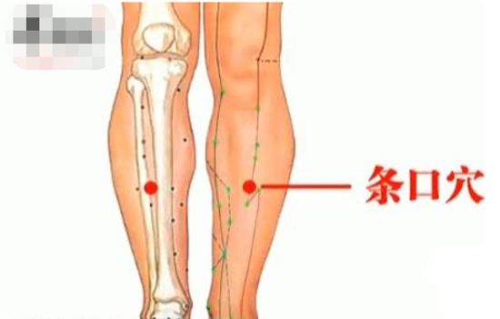 全身解毒最快的穴位,打通全身经脉的穴位