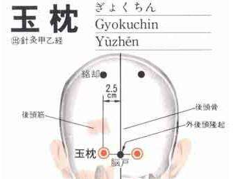 全身解毒最快的穴位,打通全身经脉的穴位