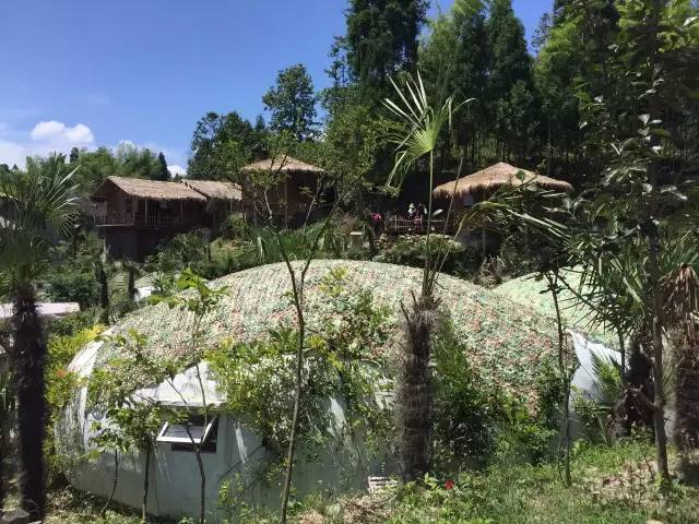 温州十大知名客栈,温州休闲民宿