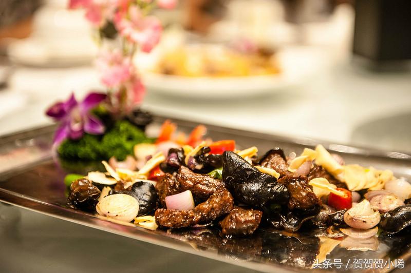 广州十大冷门自驾,广州自驾游最佳线路图最新