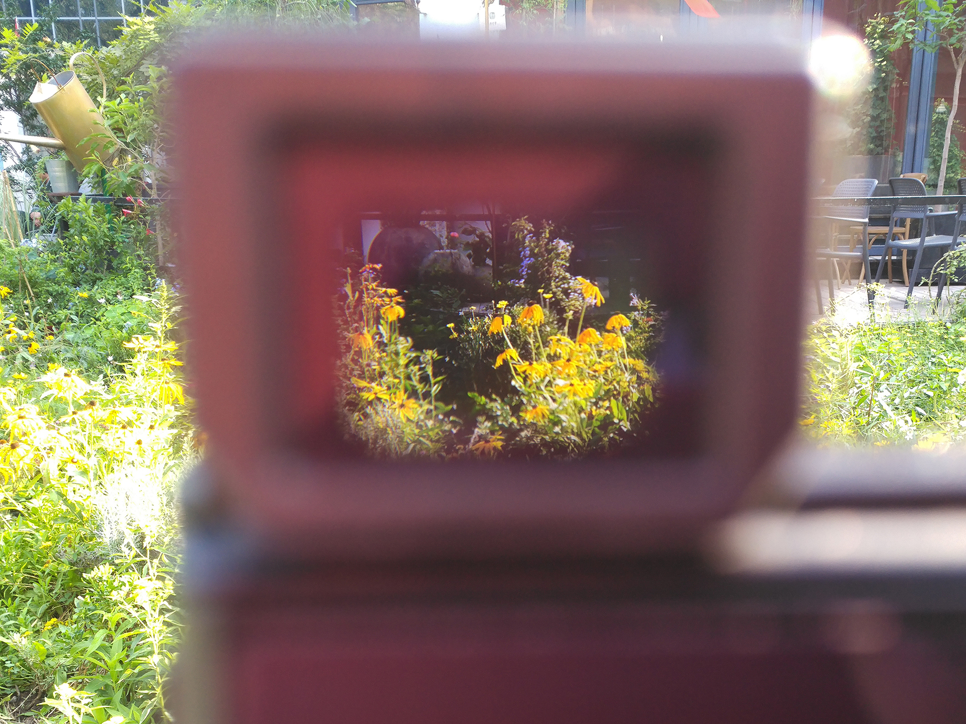 索尼黑卡rx100m4代与微单m6,索尼黑卡rx100和rx100m5