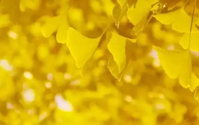 去广元必须去玩的风景,四川广元旅游必去十大景点推荐