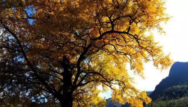 去广元必须去玩的风景,四川广元旅游必去十大景点推荐