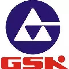 国内伺服驱动器厂家排名,国内伺服公司排名前十有哪些