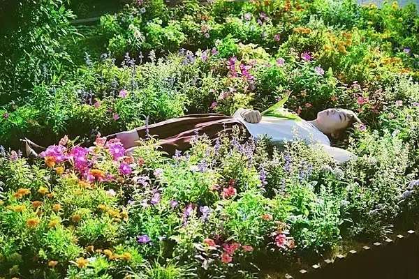 这部白莲花之王的神日片,一群妹子全程专注于搞事情