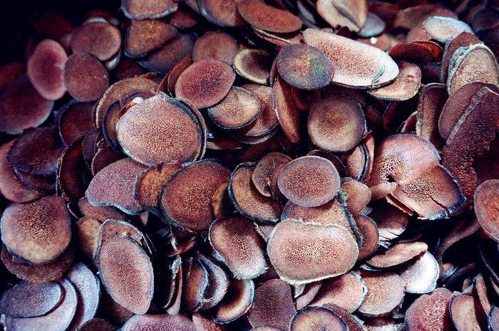 慢旅行自驾游,慢旅行