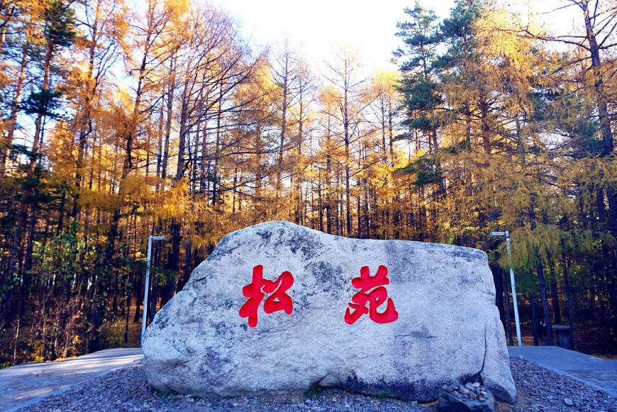 慢旅行自驾游,慢旅行