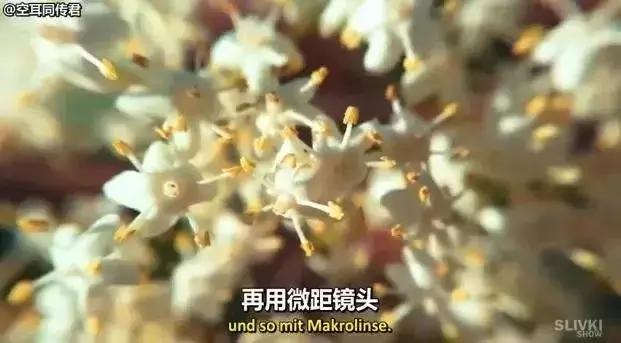 “中国3D风扇”让人惊讶？其实圈粉无数的“中国制造”还有很多！