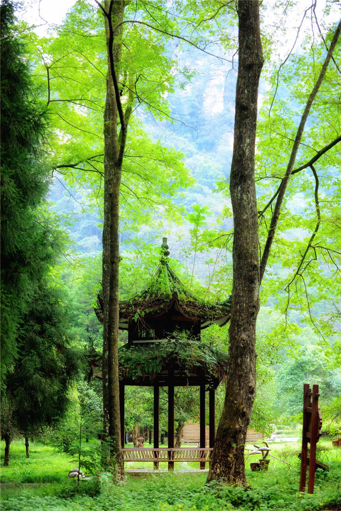 自由行张家界五日游攻略,自由行张家界三日游攻略