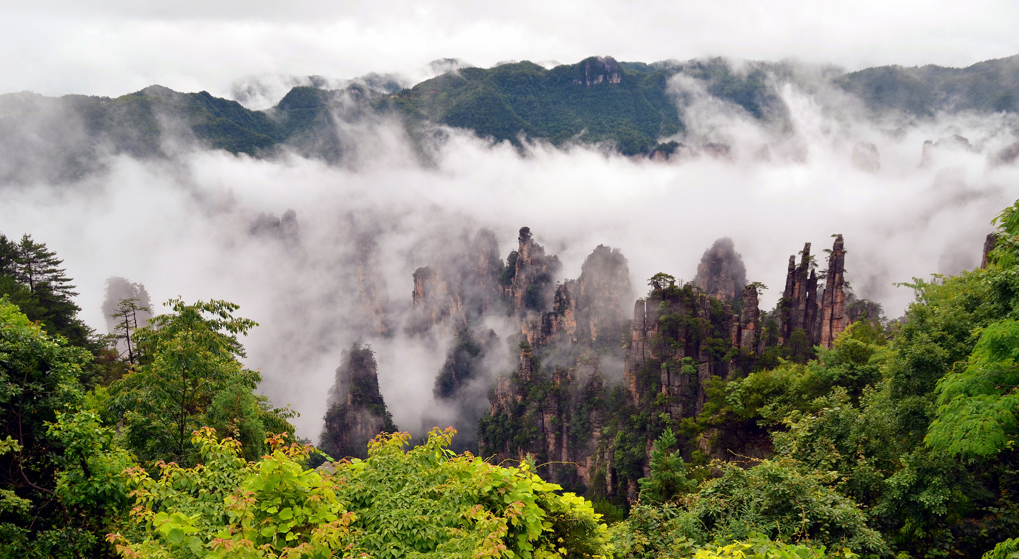 自由行张家界五日游攻略,自由行张家界三日游攻略