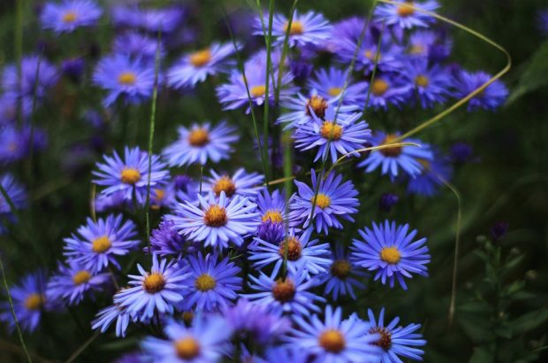 陪你一起慢慢变老歌名,陪你一起慢慢变老完整版原唱dj