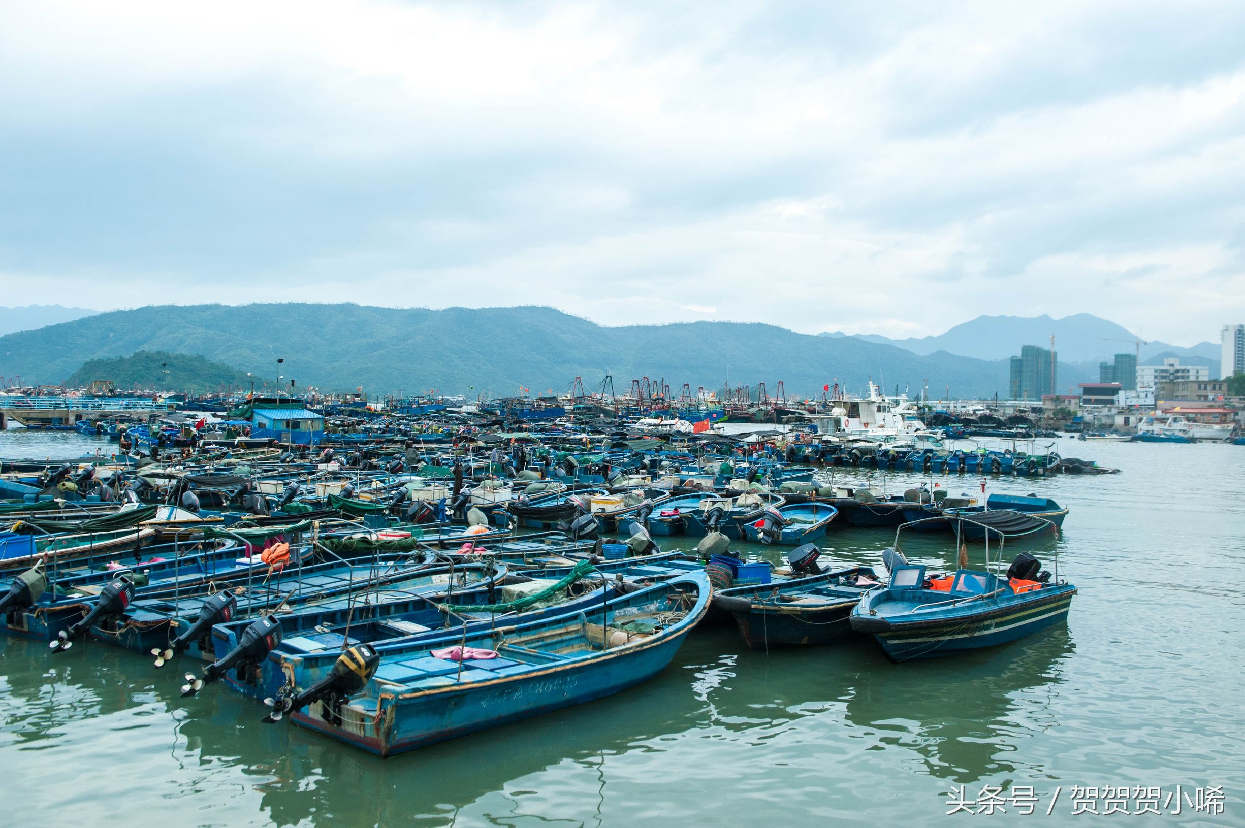 广州十大冷门自驾,广州自驾游最佳线路图最新