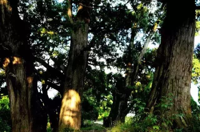 去广元必须去玩的风景,四川广元旅游必去十大景点推荐