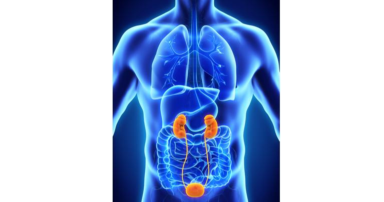 rna药物研发的公司,rna药物和蛋白药物