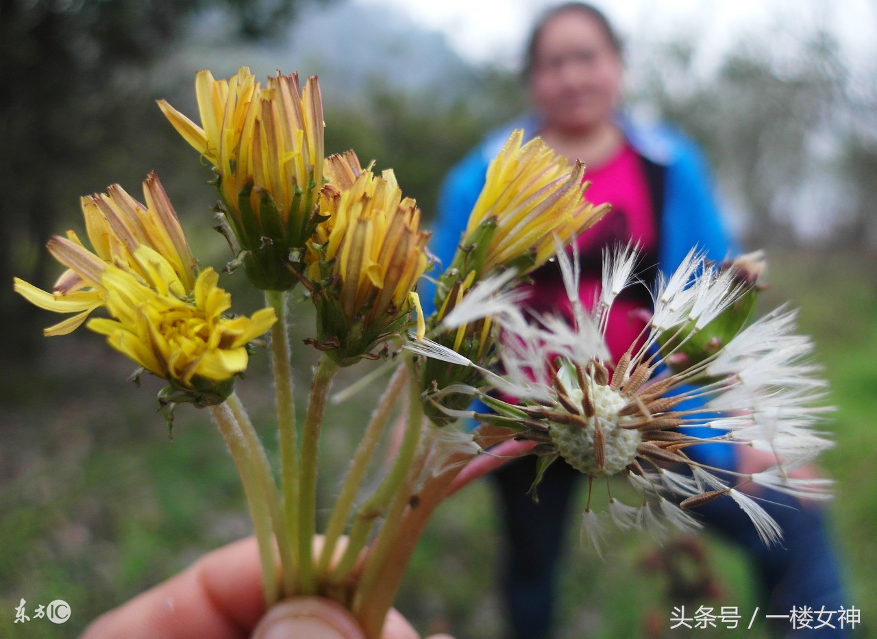 小月被欺负第二集,两次小月子