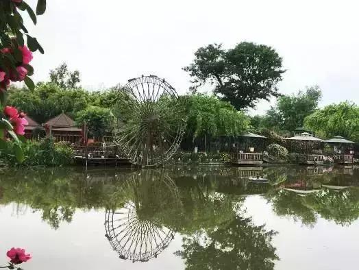 成都附近农家乐包吃住的有哪些,成都可以带娃钓鱼烧烤的农家乐