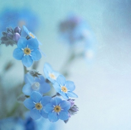 栗子姐情感专访,栗子姐情感问答全集