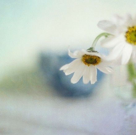 栗子姐情感专访,栗子姐情感问答全集