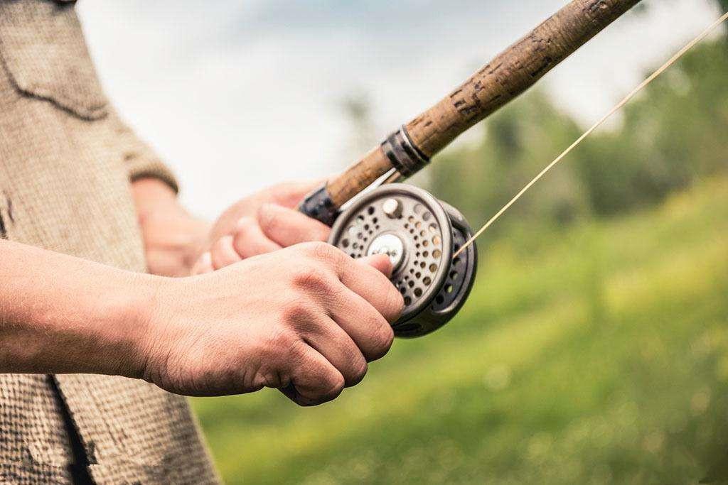 看不看？江湖高人传授给你的“选竿真经”