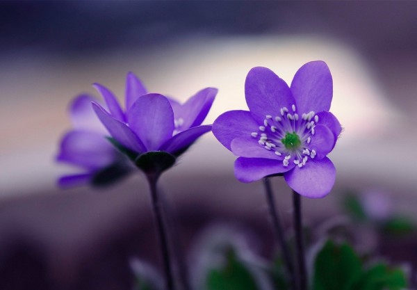 陪你一起慢慢变老歌名,陪你一起慢慢变老完整版原唱dj