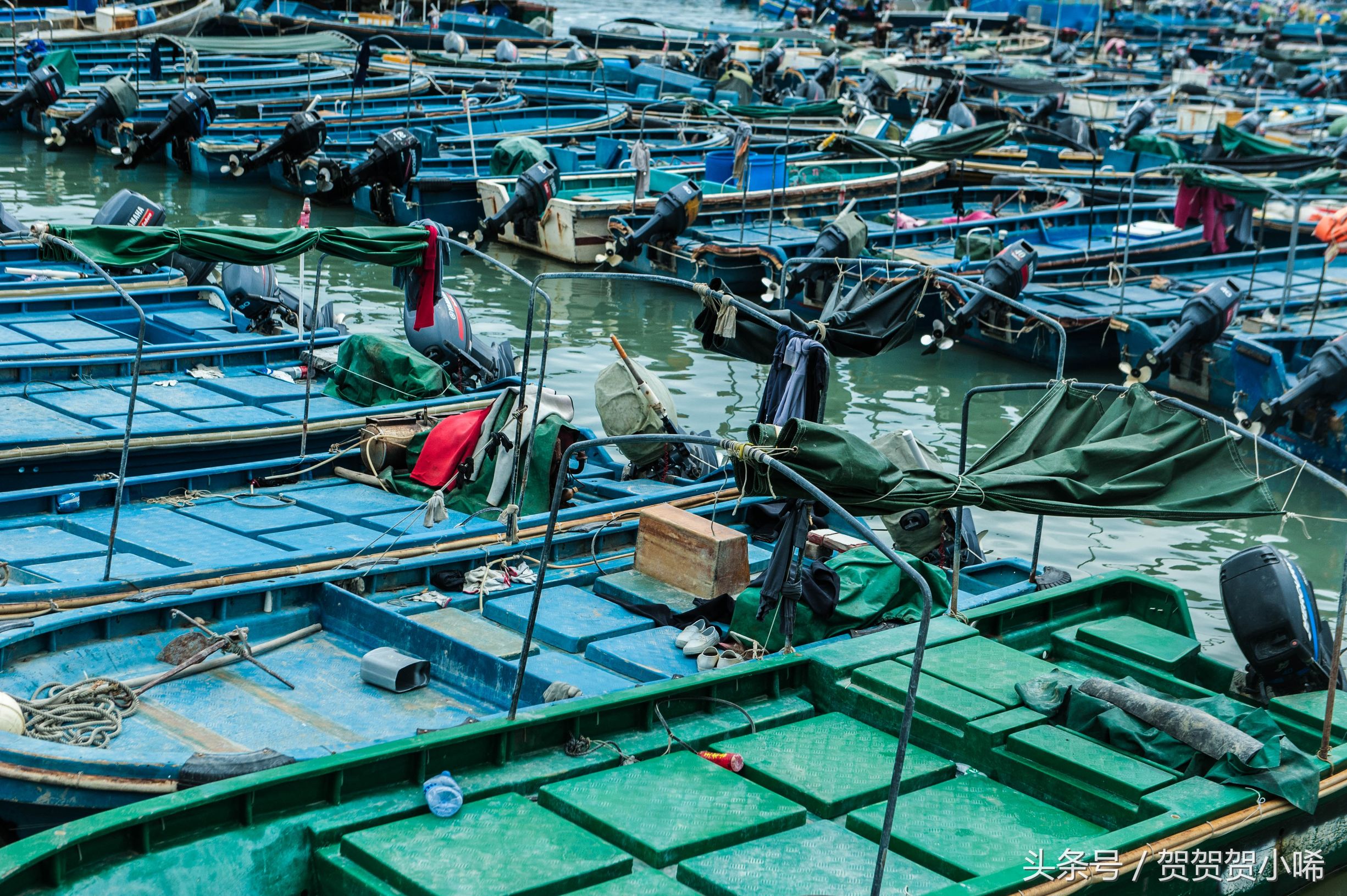 广州十大冷门自驾,广州自驾游最佳线路图最新