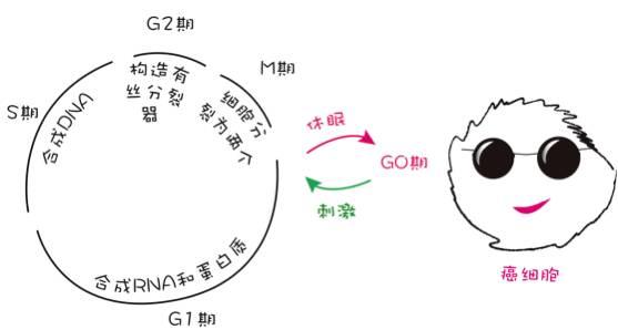 癌症基因疗法和细胞免疫疗法,分子靶向药物作用机理
