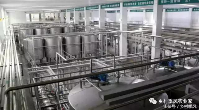 山东招远龙口粉丝的生产过程,山东龙口粉丝生产基地