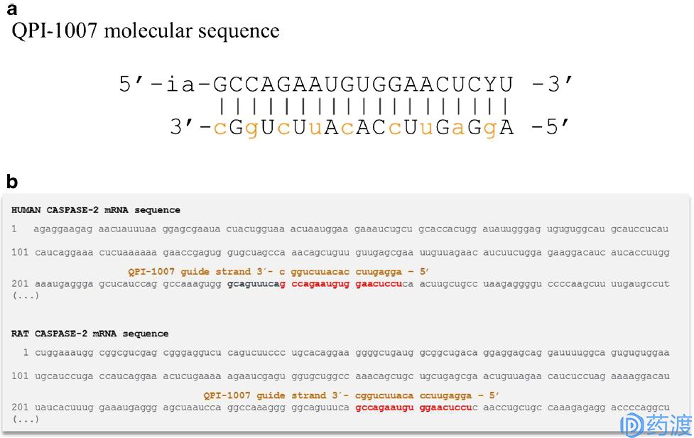 rna药物研发的公司,rna药物和蛋白药物