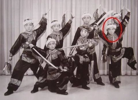 杂家小子元彪和谁演兄弟,杂家小子元彪拿金子换钱