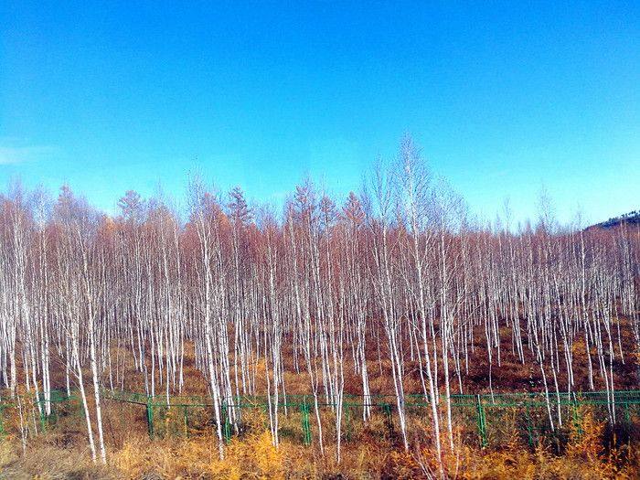 慢旅行自驾游,慢旅行