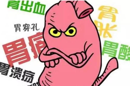 醋的常识,醋的100个常识和用途