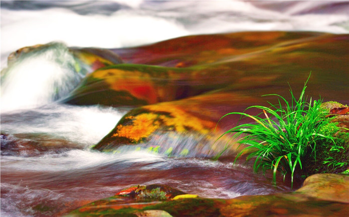 自由行张家界五日游攻略,自由行张家界三日游攻略