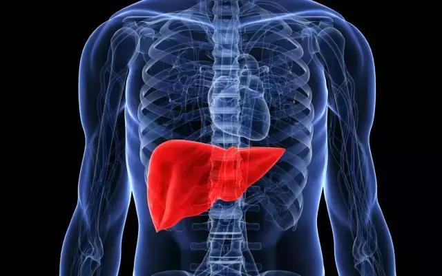 保健品吃下去不吸收会怎么样,保健品吃了没效果能退吗