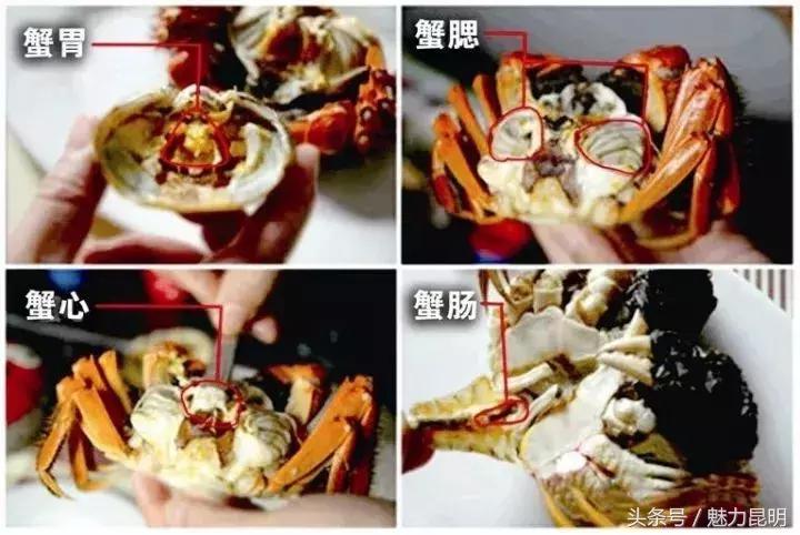 昆明张先生吃完螃蟹，第二天下不了床！这个问题你也有