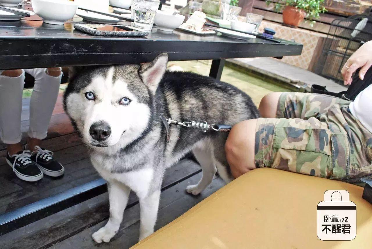 北京周末游玩好去处性价比高,北京周末刺激好玩的地方