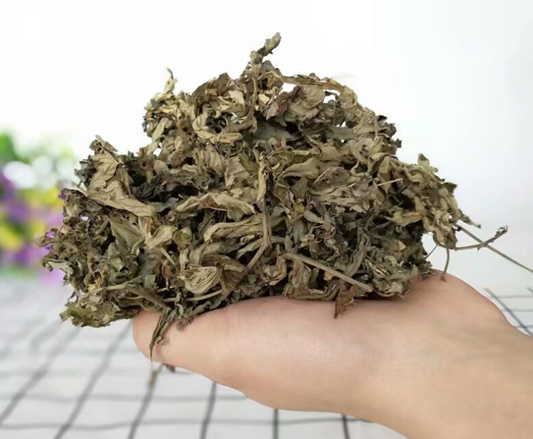 艾叶和艾条泡脚功效一样,艾草能食疗吗