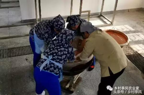 山东招远龙口粉丝的生产过程,山东龙口粉丝生产基地