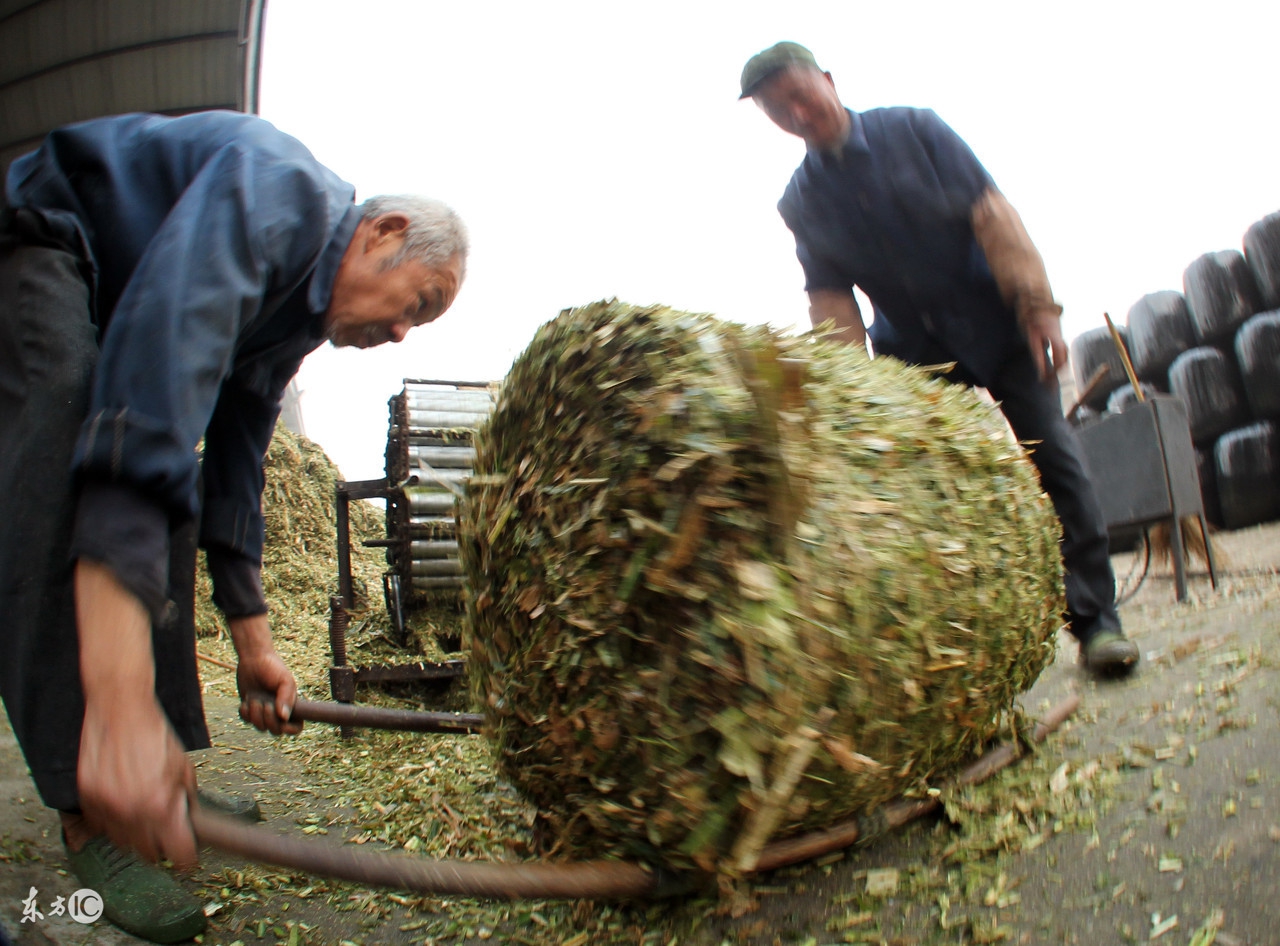 盘点那些谈不上暴富却可以积累第一桶金的农村创业小项目