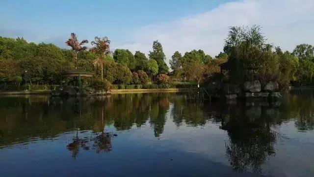 成都附近农家乐包吃住的有哪些,成都可以带娃钓鱼烧烤的农家乐