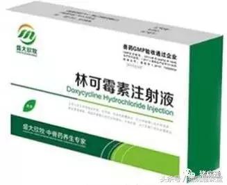 猪场林可霉素的作用与功效,林可霉素在猪场中的十大妙用