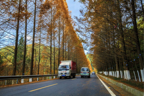 米仓古道——飞架秦蜀文明的通达天路