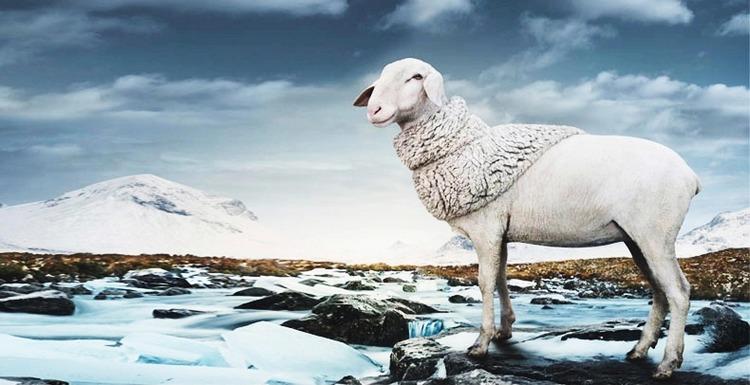 雪地靴防水款抗寒,什么雪地靴好看又保暖