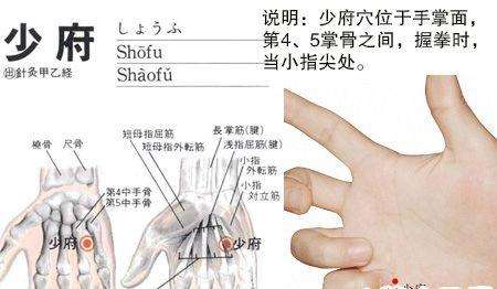 全身解毒最快的穴位,打通全身经脉的穴位