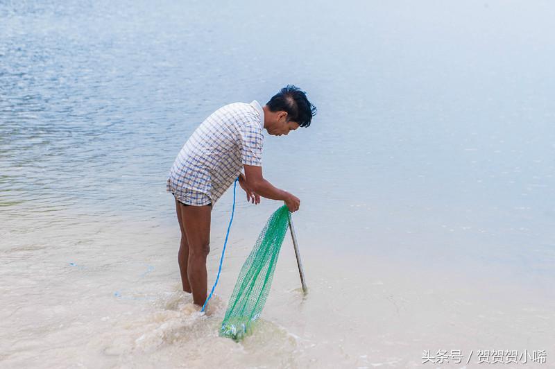 广州十大冷门自驾,广州自驾游最佳线路图最新