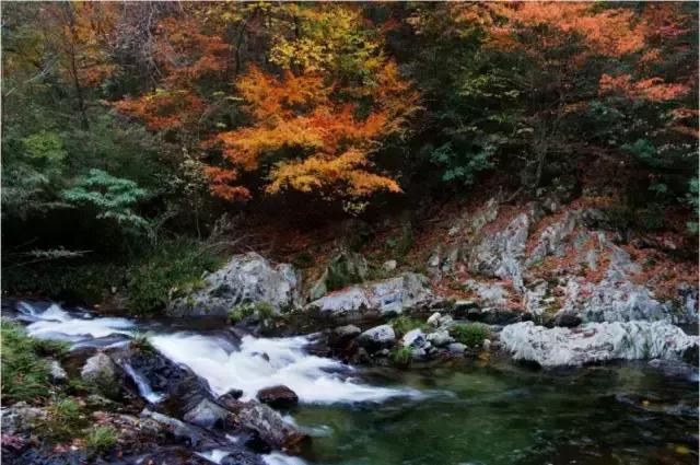 去广元必须去玩的风景,四川广元旅游必去十大景点推荐