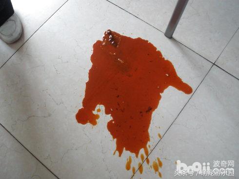 猫病毒性肠胃炎吃什么药,猫病毒性肠炎严重吗