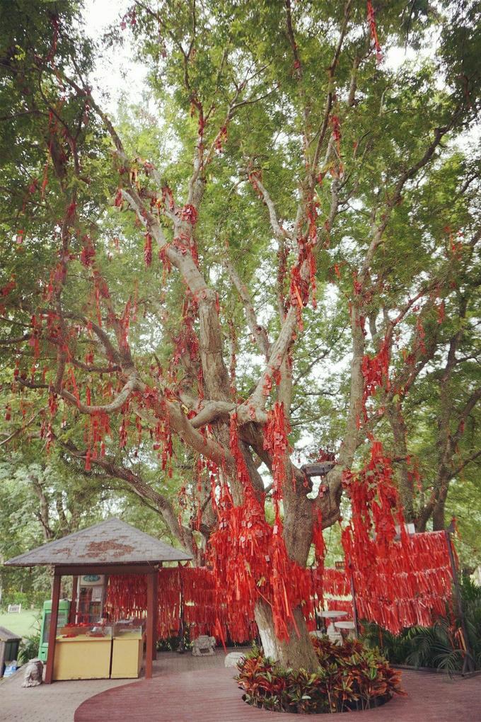 预支一段未来的旅行，带着父母去度假——三亚