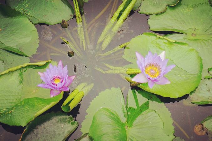 预支一段未来的旅行，带着父母去度假——三亚