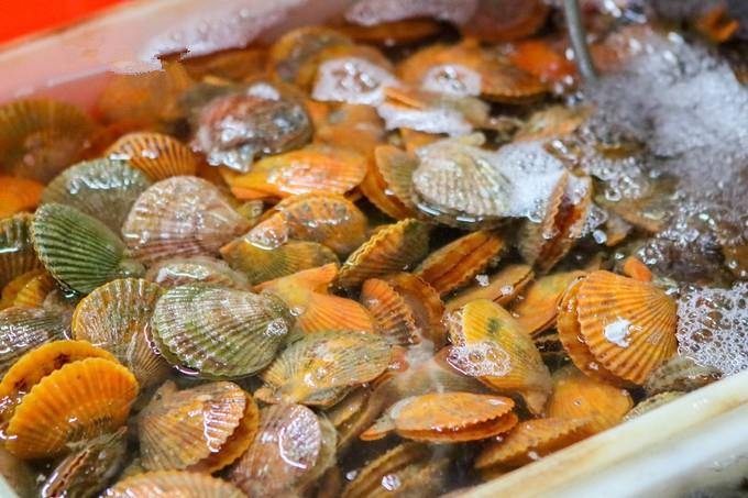 预支一段未来的旅行，带着父母去度假——三亚